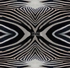 Ковролин Flotex Vision Image 000402 Zebra фото 1 | FLOORDEALER
